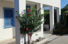 Aloha Sicily - Foto 1