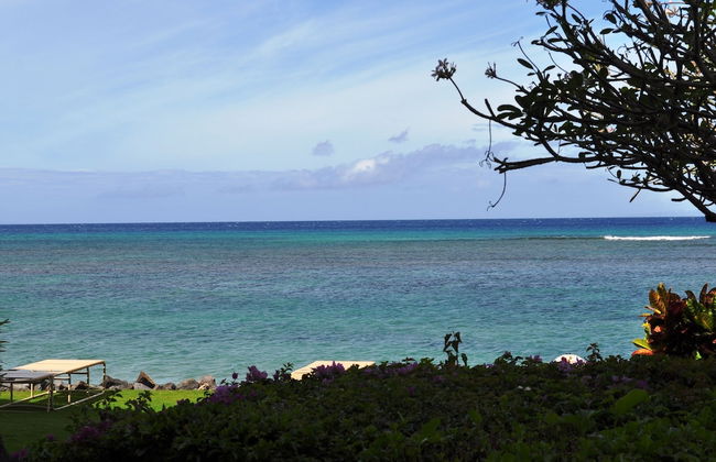 Kahana Reef - Maui Condo & Home - Foto 42