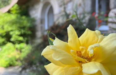 Superbe chaumière en bord de mer - Foto 12