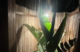 Selana House with outdoor pool - Foto 41