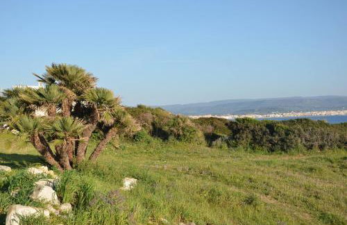 FANTASTIC SARDINIA VILLETTE CON GIARDINO Fronte Mare Fertilia FAHO-GAV01-GAV02 - Foto 120