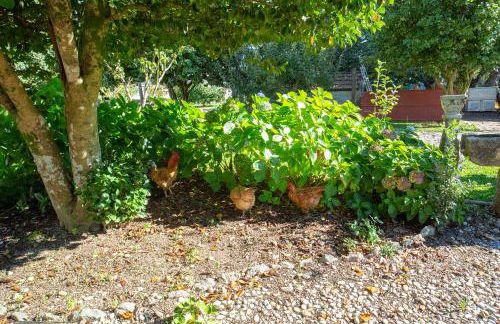 Quinta De Vila Nova - Agroturismo - Foto 52