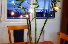 Zoe's Villa - Entire Villa Rental with Stunning Aegean Sea views! - Foto 10