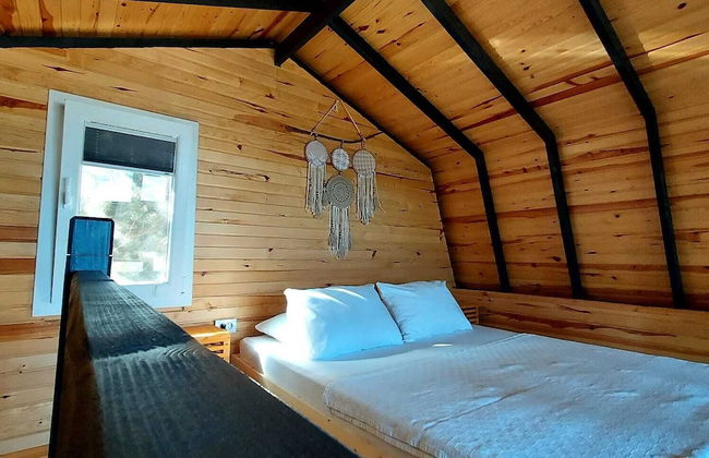 Sole Foca ( Ages 12+ ) - Foto 3