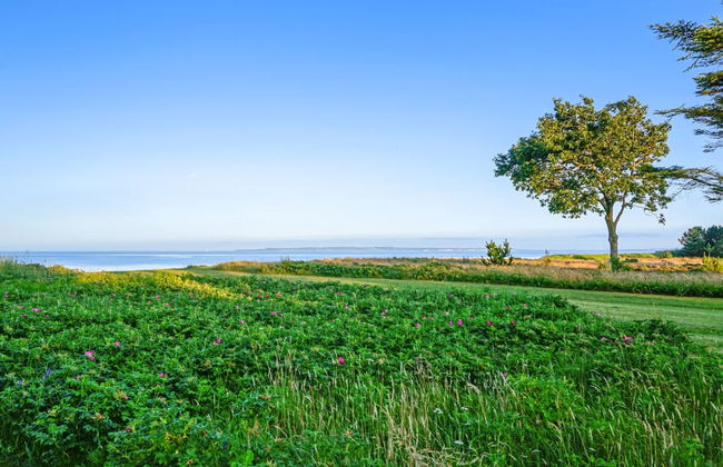 "Sebastian" - 100m to the fjord - Foto 27