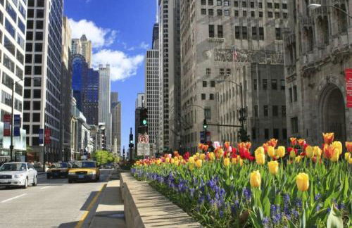 Gold Coast 2BR Suite Near Oak Street - Photo 12