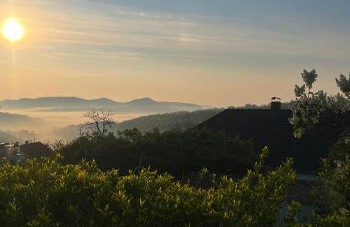 SUNRISE mit großer Terrasse und Weitblick - Photo 21