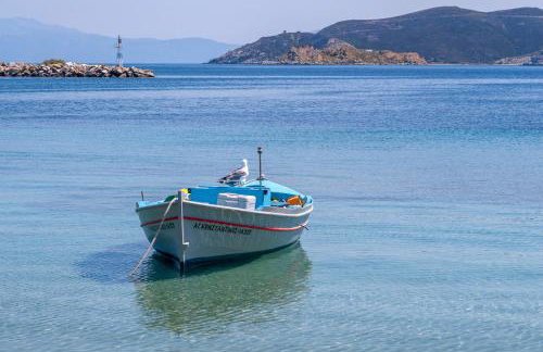 Spela House - Foto 44