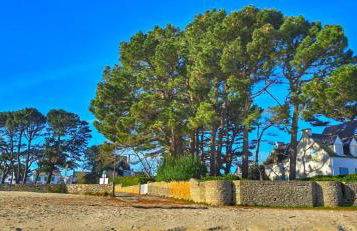 Cocon Neuf - 6 à 8 pers 3 chb proche plage, port, centre ville - Foto 37