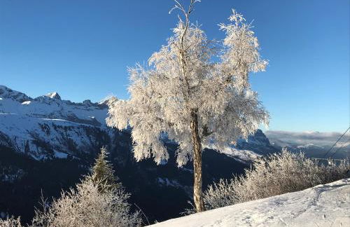 Luxury 2 Bedroom Apartment with view of Mont Blanc - Foto 39