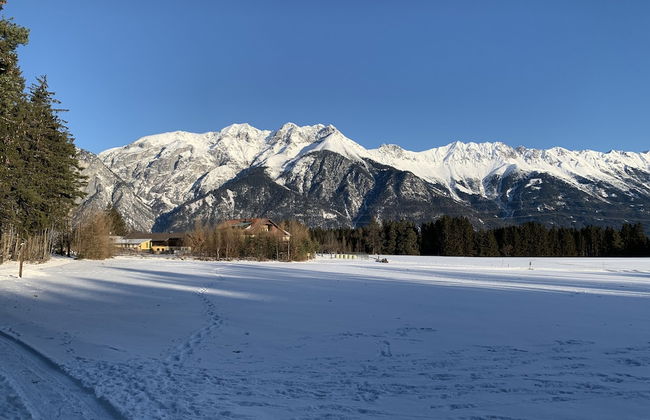 Waldchalet am Eichhof - Foto 11