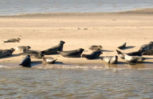 Huus Wattenmeer in Neßmersiel an der Nordsee - Foto 36