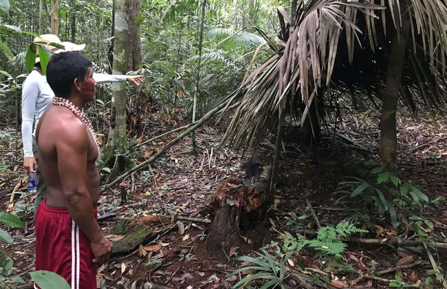 Tour di 2 giorni nella foresta amazzonica - Foto 6