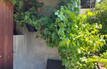 Four Seasons Apartment Ski Access & Mountain Views - Foto 29