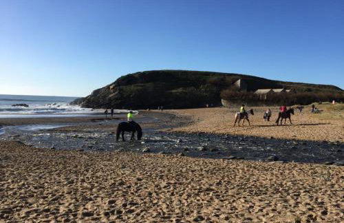 The Lizard Bluewater - Foto 29