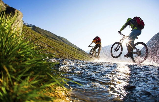 Sonata in the Organic & Riding Stable of Veitenhof - Foto 31