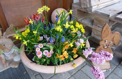 Biobetrieb Lippenhof - Photo 11