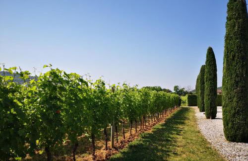 Pizzulin - Wine & Living - Foto 9