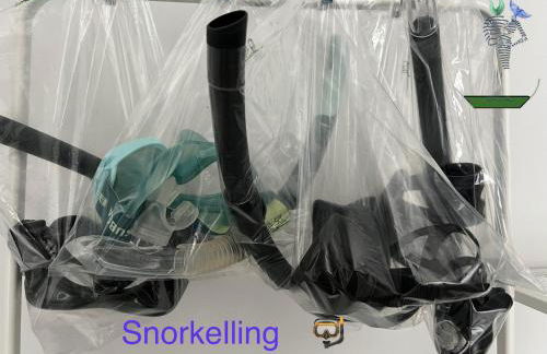 Caniçal houses - Madeira - Photo 63