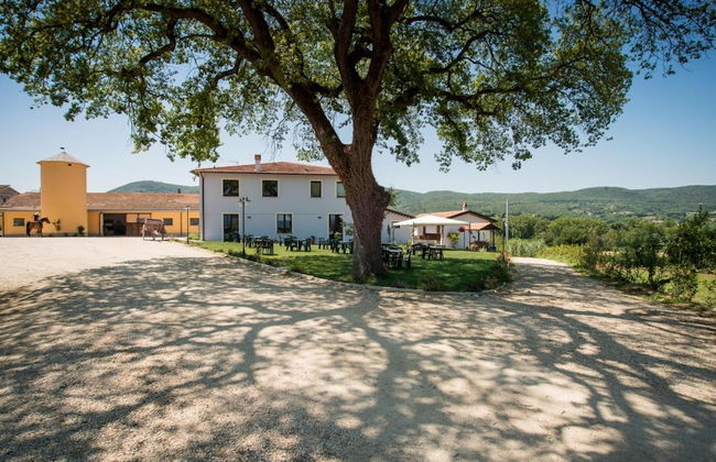 Fattoria Didattica La Collina Incantata - Photo 50