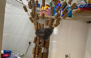 Zuzu house - Foto 13