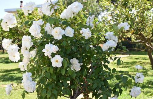 Villa Tina - Foto 19