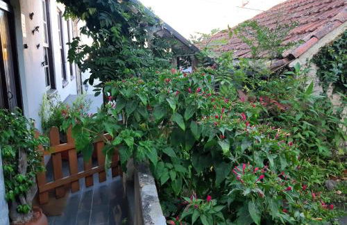 Casa do Sr. Falcão - Foto 47