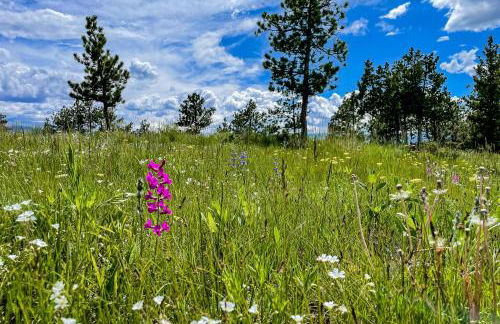Panoramic Views! The Cozy Fox Cabin in Livermore - Foto 39