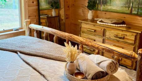 Mountain Cabin & Creek-Front Nature Retreat NC - Foto 4