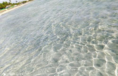 Privê Recanto da Enseada - Praia de Serrambi-PE - Photo 25