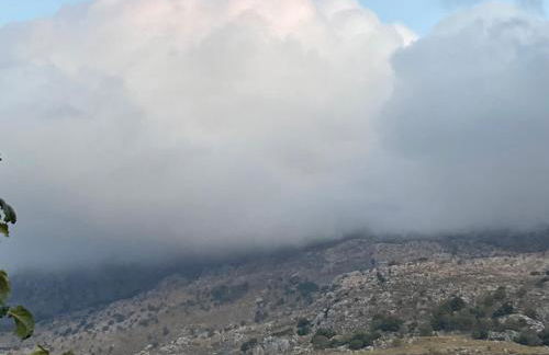 Tulip House - Foto 52