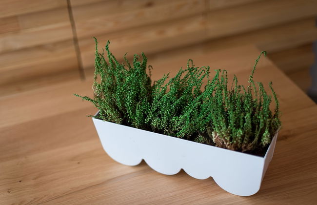 Casa Do Mercado - Foto 75