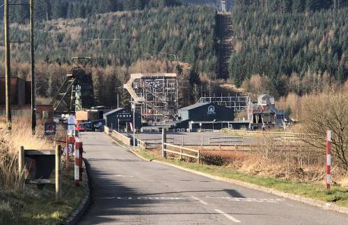 Herbert Place - Foto 46