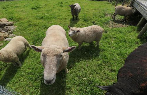 The Reading Room - Foto 30