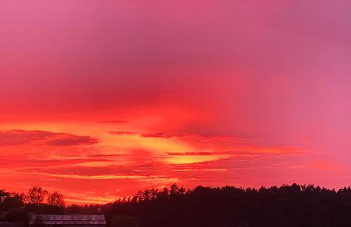 Ferienwohnung auf Pferdehof - Foto 22