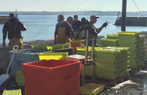 Appartement Design III - Port du Rosmeur - Parking Privé - Douarnenez - Foto 20