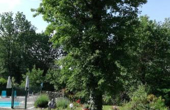 Le roqual - Foto 26