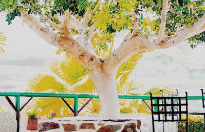 Casa Las Zocas - Foto 66