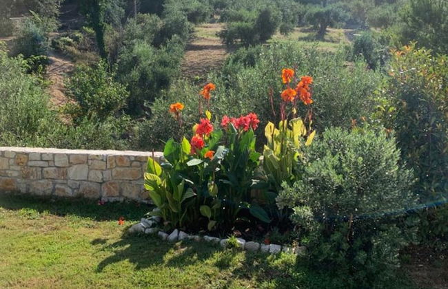 Villa in Afionas With Private Pool - Foto 8