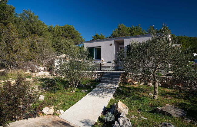 Olive Eden - Foto 57