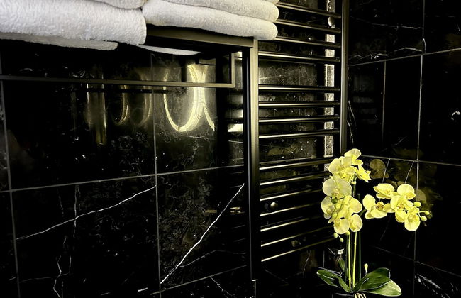 soho london suite - Photo 105