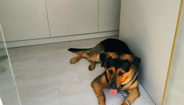 Manganas Studios - Foto 5