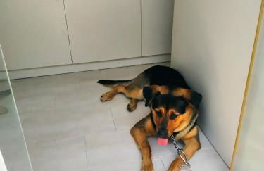 Manganas Studios - Foto 5