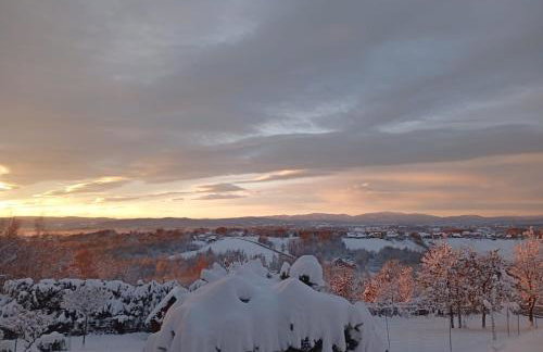 Szumią Dęby - Marcyporęba - Photo 46