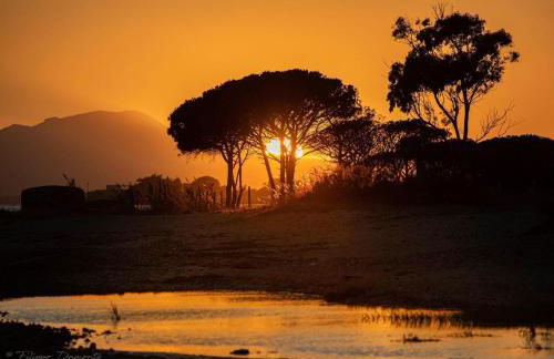 Casa Vacanze Paola 2 - Photo 20