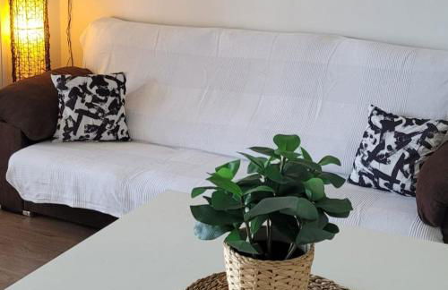 CALA PUNTAL COSTA SUR Vinaròs NG - Foto 8