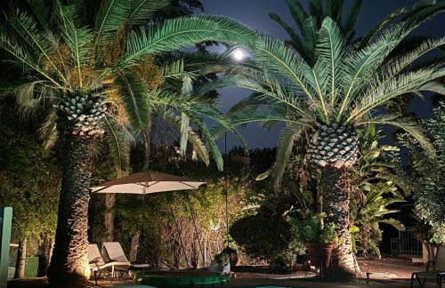 Villa Elmar - Foto 32