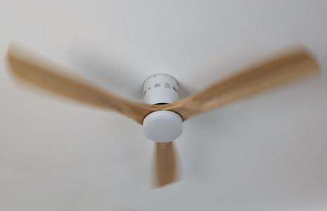 Elantxobe Plaza VT - Photo 32