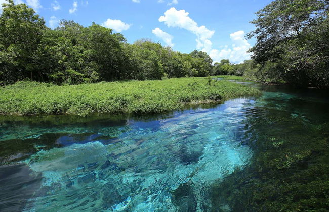 Giro in barca sul fiume Sucuri - Foto 5