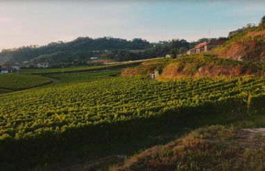 The FarmHouse II - Uma quinta deslumbrante - Foto 63